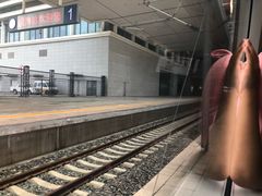 -滨海西站