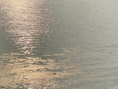 -丁香湖公园