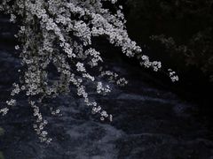 -中国茶叶博物馆(双峰馆区)