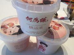 -大鸭梨烤鸭(望京店)