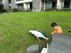 -天目湖涵田度假村