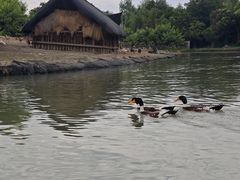 -乌村