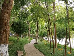 -运河游船(武林门码头)