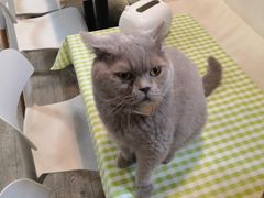 -小时光咖啡馆(北锣鼓巷店)