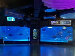 -烟台海昌鲸鲨海洋公园