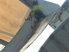 -美兰湖景区