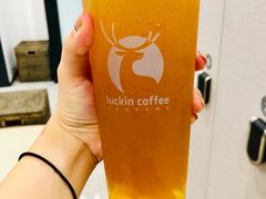 -青石桥老瓦房肥肠粉总店(青石桥总店)