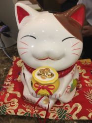 -新美荟医美·专注面部美学抗衰