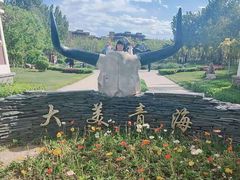 -武清南湖绿博园