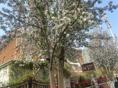 -天津五大道文化旅游区