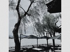 -柳莺湖上·湖景餐厅·江南菜(西湖店)