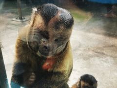 -秦皇岛野生动物园