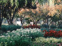 -石家庄市植物园