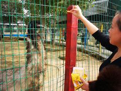 -武汉紫薇都市田园