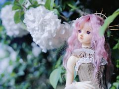 -杭州城北体育公园