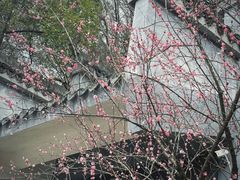 -紫阳古街