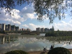 -丁香湖公园