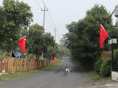 -报恩禅寺