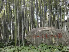 -上海醉白池公园