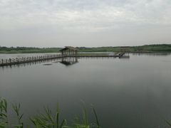 -溱湖国家湿地公园