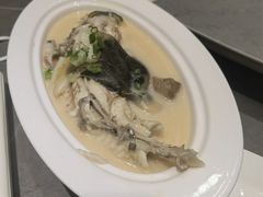 河豚-神洲四海大酒楼(王府井澳门中心店)