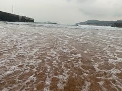 -枸杞岛