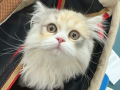-美联众合动物医院·24h京西诊疗中心