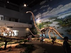 -自贡恐龙博物馆