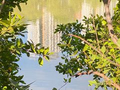 -金鸡岭桥头公园