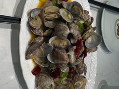 辣炒青岛小花蛤-船歌·鱼水饺青岛菜(国贸商城店)