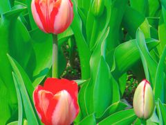 -北京植物园南门售票处