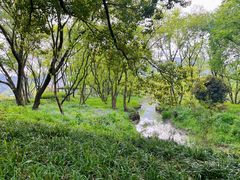 -西湖风景区-江洋畈生态公园