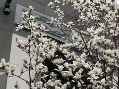 -香然会·园林雅宴(陆家嘴店)