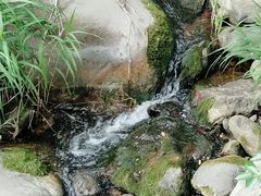 -碓臼峪自然风景区