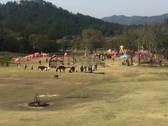 -黄陂区野村谷景区