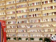 -深影国际影城(学院南路店CGS中国巨幕店)