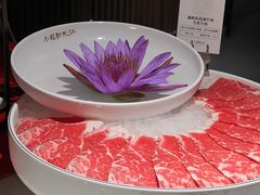 -小龙翻大江文化火锅(宽窄店)
