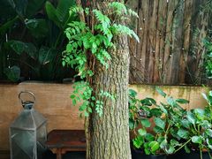-悦哉·派对·草坪婚礼·围炉煮茶(三圣乡店)