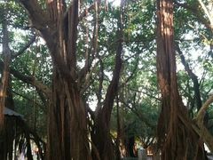 -北海市海滨公园