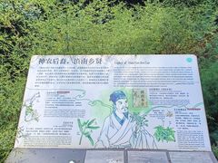 -昆明植物园