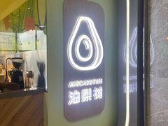 -油梨树AVOCADO TREE(望京店)