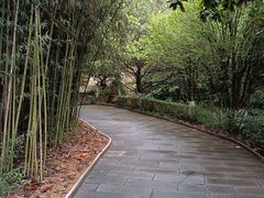 -石老人观光园