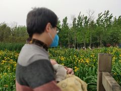 -白鹭湾湿地公园