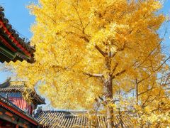 -承恩寺