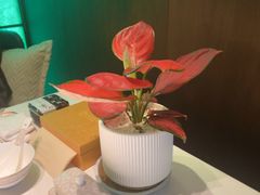 -金链花·泰国餐厅(国贸店)
