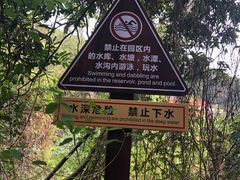-东莞市大岭山森林公园