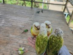 -合肥野生动物园