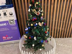 -知音艺术教育培训·钢琴培训·音乐培训(河西金鹰世界校区)