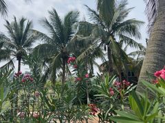 -白沙门生态公园