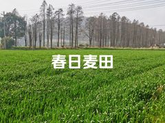 -南北湖风景区